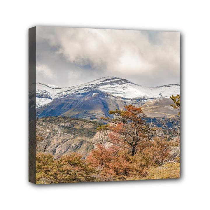 Forest And Snowy Mountains, Patagonia, Argentina Mini Canvas 6  x 6 