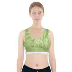 Big Bang Sports Bra With Pocket