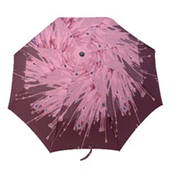 Big Bang Folding Umbrellas by ValentinaDesign