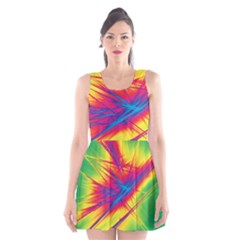 Big Bang Scoop Neck Skater Dress