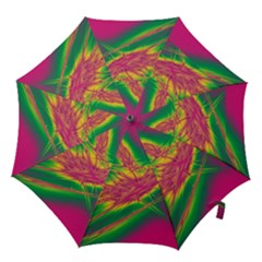 Big Bang Hook Handle Umbrellas (large)