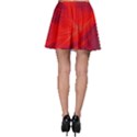 Big bang Skater Skirt View2