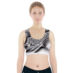 Big Bang Sports Bra With Pocket