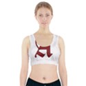 The Scarlet Letter Sports Bra With Pocket View1