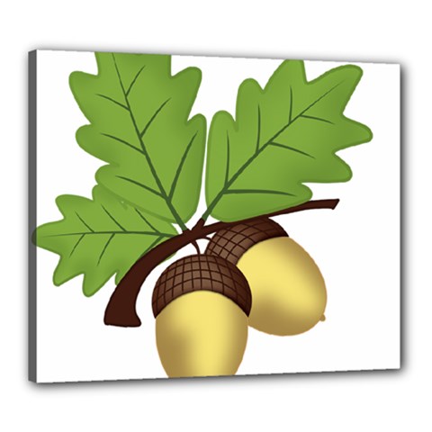 Acorn Hazelnuts Nature Forest Canvas 24  X 20  by Nexatart