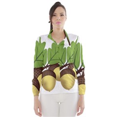 Acorn Hazelnuts Nature Forest Wind Breaker (women) by Nexatart