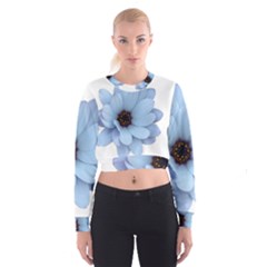 Daisy Flower Floral Plant Summer Cropped Sweatshirt by Nexatart