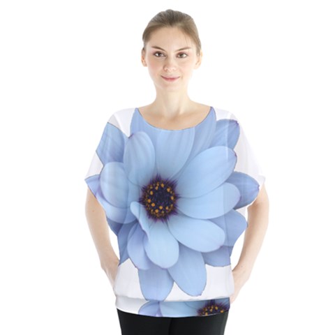 Daisy Flower Floral Plant Summer Blouse by Nexatart