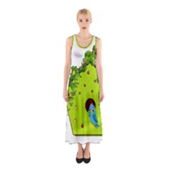 Bluebird Bird Birdhouse Avian Sleeveless Maxi Dress by Nexatart