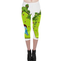 Bluebird Bird Birdhouse Avian Capri Leggings  by Nexatart