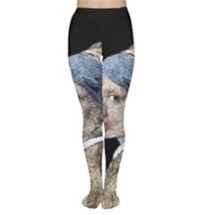 The Girl With The Pearl Earring Women s Tights by Valentinaart