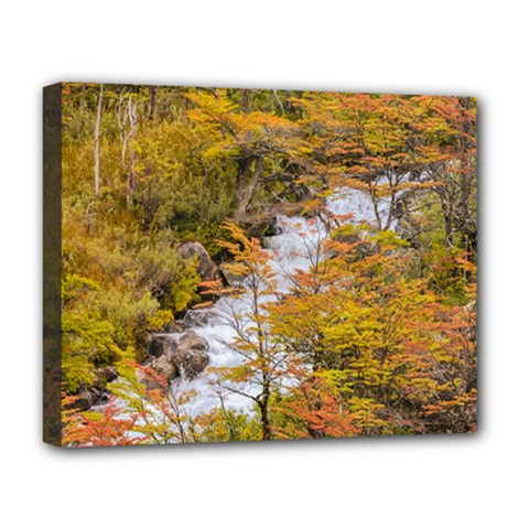 Colored Forest Landscape Scene, Patagonia   Argentina Deluxe Canvas 20  X 16   by dflcprints