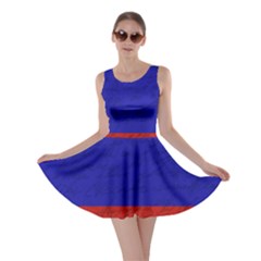 Vintage flag - Russia Skater Dress