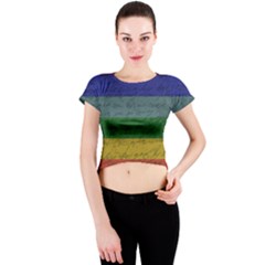 Vintage Flag - Pride Crew Neck Crop Top by ValentinaDesign