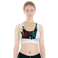 Cats Sports Bra With Pocket