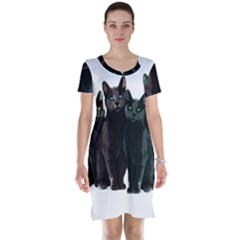 Cats Short Sleeve Nightdress by Valentinaart