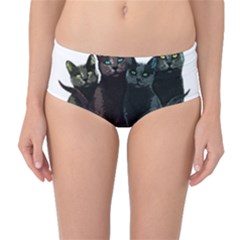 Cats Mid-waist Bikini Bottoms by Valentinaart