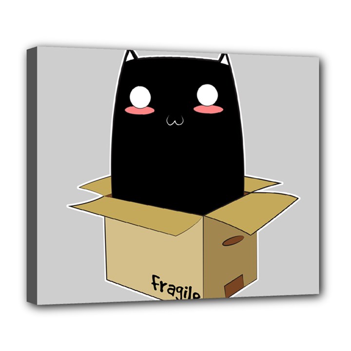 Black Cat in a Box Deluxe Canvas 24  x 20  