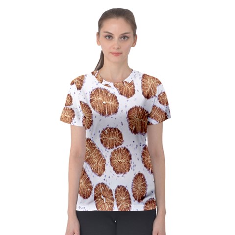 Formalin Paraffin Human Stomach Stained Bacteria Brown Women s Sport Mesh Tee by Mariart