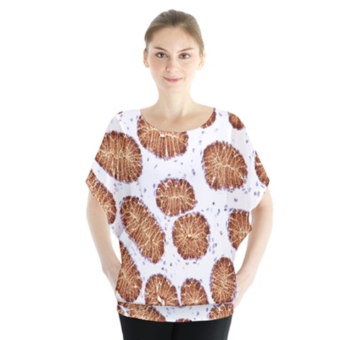 Formalin Paraffin Human Stomach Stained Bacteria Brown Blouse by Mariart