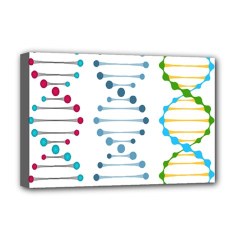 Genetic Dna Blood Flow Cells Deluxe Canvas 18  X 12  