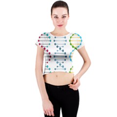 Genetic Dna Blood Flow Cells Crew Neck Crop Top