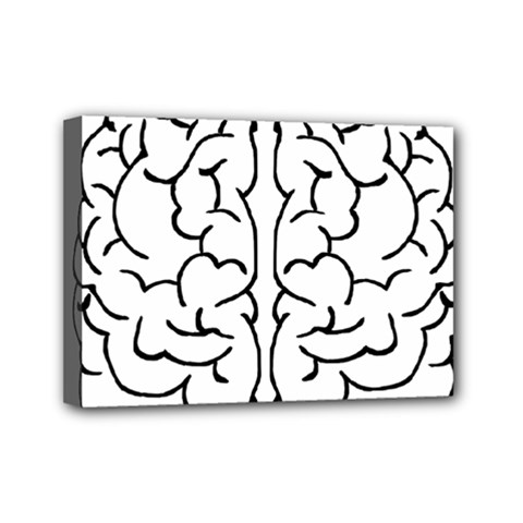 Brain Mind Gray Matter Thought Mini Canvas 7  X 5  by Nexatart