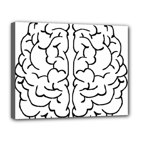 Brain Mind Gray Matter Thought Canvas 14  X 11  by Nexatart