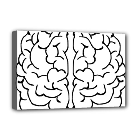 Brain Mind Gray Matter Thought Deluxe Canvas 18  X 12   by Nexatart