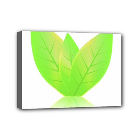 Leaves Green Nature Reflection Mini Canvas 7  X 5  by Nexatart