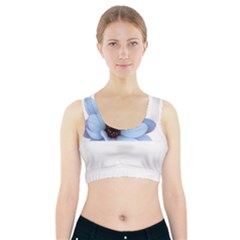 Daisy Flower Floral Plant Summer Sports Bra With Pocket