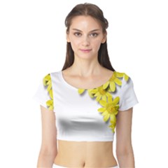 Flowers Spring Yellow Spring Onion Short Sleeve Crop Top (tight Fit) by Nexatart