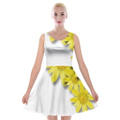 Flowers Spring Yellow Spring Onion Velvet Skater Dress by Nexatart