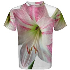 Flower Blossom Bloom Amaryllis Men s Cotton Tee by Nexatart