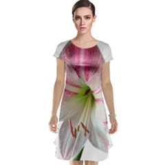 Flower Blossom Bloom Amaryllis Cap Sleeve Nightdress by Nexatart