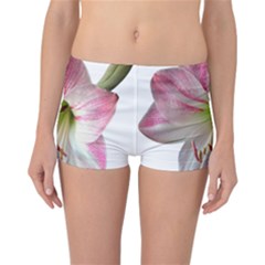 Flower Blossom Bloom Amaryllis Reversible Bikini Bottoms by Nexatart