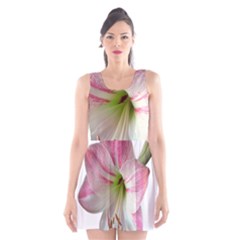 Flower Blossom Bloom Amaryllis Scoop Neck Skater Dress by Nexatart