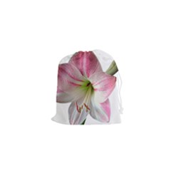 Flower Blossom Bloom Amaryllis Drawstring Pouches (xs)  by Nexatart