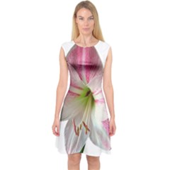 Flower Blossom Bloom Amaryllis Capsleeve Midi Dress by Nexatart