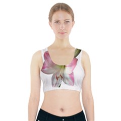 Flower Blossom Bloom Amaryllis Sports Bra With Pocket