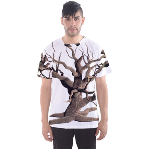 Tree Isolated Dead Plant Weathered Men s Sport Mesh Tee by Nexatart