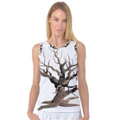 Tree Isolated Dead Plant Weathered Women s Basketball Tank Top by Nexatart