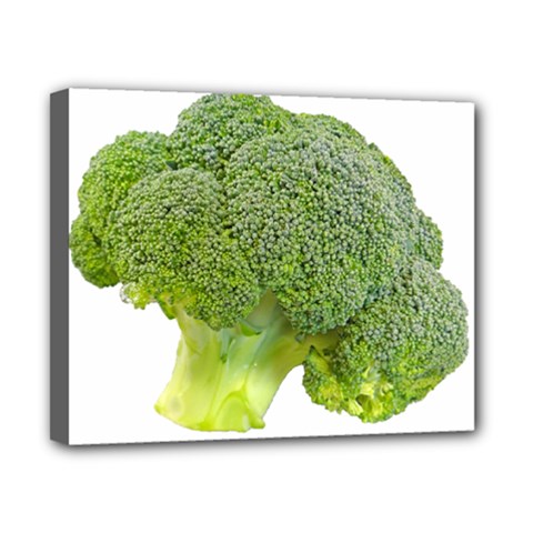 Broccoli Bunch Floret Fresh Food Canvas 10  X 8  by Nexatart