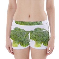 Broccoli Bunch Floret Fresh Food Boyleg Bikini Wrap Bottoms by Nexatart