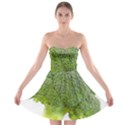 Broccoli Bunch Floret Fresh Food Strapless Bra Top Dress View1