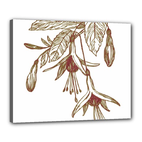 Floral Spray Gold And Red Pretty Canvas 20  X 16  by Nexatart