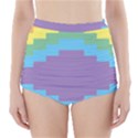 Carmigender Flags Rainbow High-Waisted Bikini Bottoms View1