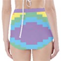 Carmigender Flags Rainbow High-Waisted Bikini Bottoms View2