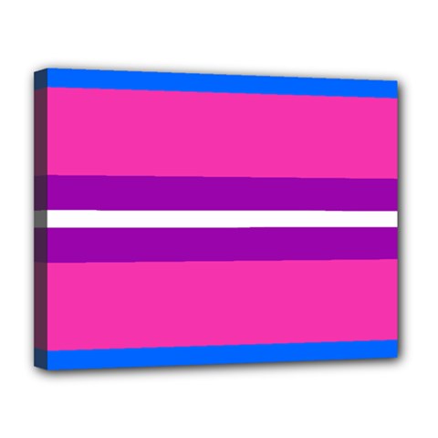 Transgender Flags Canvas 14  X 11 