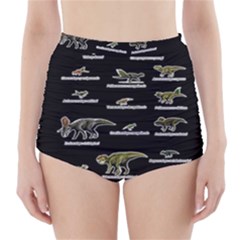 Dinosaurs Names High-waisted Bikini Bottoms